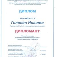 раонная олимпиада Невский дошколенок -ТИКО-2023 (1)